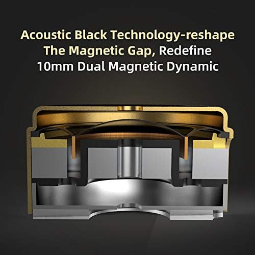 KZ ZSN Pro X IEM Earphone in Ear Monitors, 1BA+1DD Dual Driver Noise Cancelling Wired Gaming Earbuds, Deep Bass Stereo Sound Headphones with 3.5 Plug 2PIN Detachable Tangle-Free Cable (Gold, with Mic)