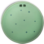 Speaqua Cruiser Speaker Squidward from Spongebob, Waterproof Bluetooth Speaker, Small Portable Bluetooth, Beach Accessory, Portable Outdoor