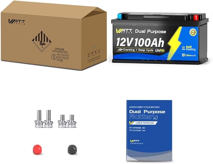 12V 100Ah Bluetooth LiFePO4 Battery, [Cranking &Deep Cycle] Lithium Battery with Self-Heating, Built-in 200A BMS, Perfect for Trolling Motor, RV, Marine, Boat(4 Pack)