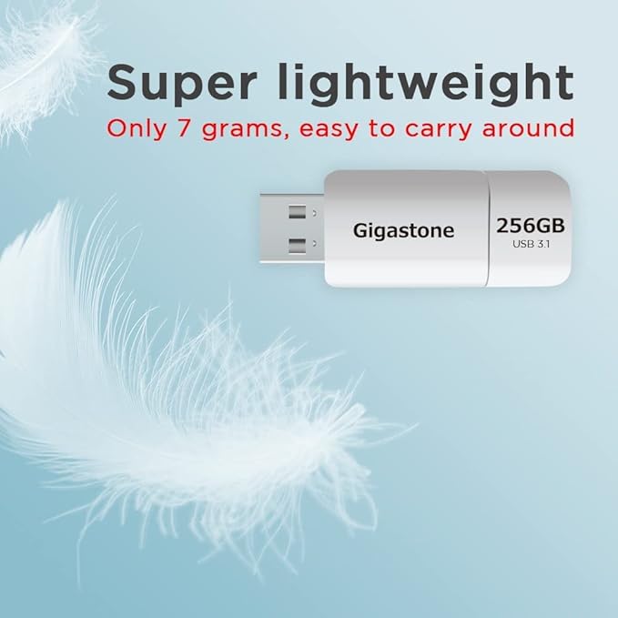 GIGASTONE 256GB Flash Drive (2 Pack) Z60 USB 3.2 Gen 1, 120MB/s Ultra Fast, Retractable Capless Slider Design, Data Storage, Backup for PC/Mac/TV/Car Audio, USB 2.0/3.0/3.1 Compatible
