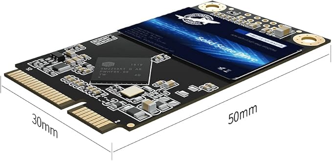 Dogfish mSATA SSD 250GB 3D NAND TLC SATA III 6 Gb/s, mSATA (30x50.9mm) Internal Solid State Drive - Compatible with Desktop PC Laptop - (MSATA 250GB)