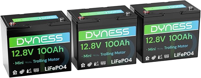 12V 100Ah Mini LiFePO4 Battery 3 Pack Group 24, 12 Volt Deep Cycle Lithium Battery with 100A BMS, Low-Temp Protection & 10 Years Lifespan for RV, Boat, Trolling Motor, Solar Off-Grid, Golf Cart