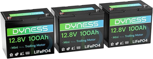12V 100Ah Mini LiFePO4 Battery 3 Pack Group 24, 12 Volt Deep Cycle Lithium Battery with 100A BMS, Low-Temp Protection & 10 Years Lifespan for RV, Boat, Trolling Motor, Solar Off-Grid, Golf Cart