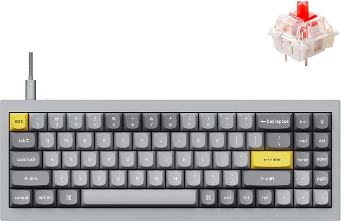 Keychron Q7 Wired Custom Mechanical Keyboard, 70% Layout QMK/VIA Programmable Macro with Hot-swappable Gateron G Pro Red Switch Double Gasket Compatible with Mac Windows Linux (Grey)