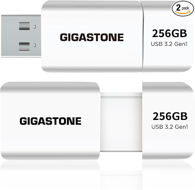 GIGASTONE 256GB Flash Drive (2 Pack) Z60 USB 3.2 Gen 1, 120MB/s Ultra Fast, Retractable Capless Slider Design, Data Storage, Backup for PC/Mac/TV/Car Audio, USB 2.0/3.0/3.1 Compatible