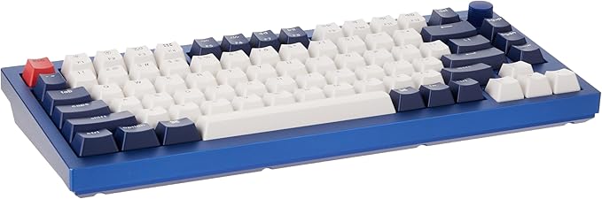 Keychron Q1 RGB Wired Custom Mechanical Keyboard, 75% Layout QMK/VIA Programmable Macro with Hot-swappable Gateron G Pro Blue Switch Double Gasket Compatible with Mac Windows Linux (Blue) -Version 2