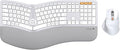 ProtoArc Ergonomic Wireless Keyboard Mouse, EKM01 Plus Full Size Ergo Bluetooth Keyboard Mouse Combo, Split Design, Wrist Rest, Multi-Device, Rechargeable, for Windows/Mac OS - White and Silver