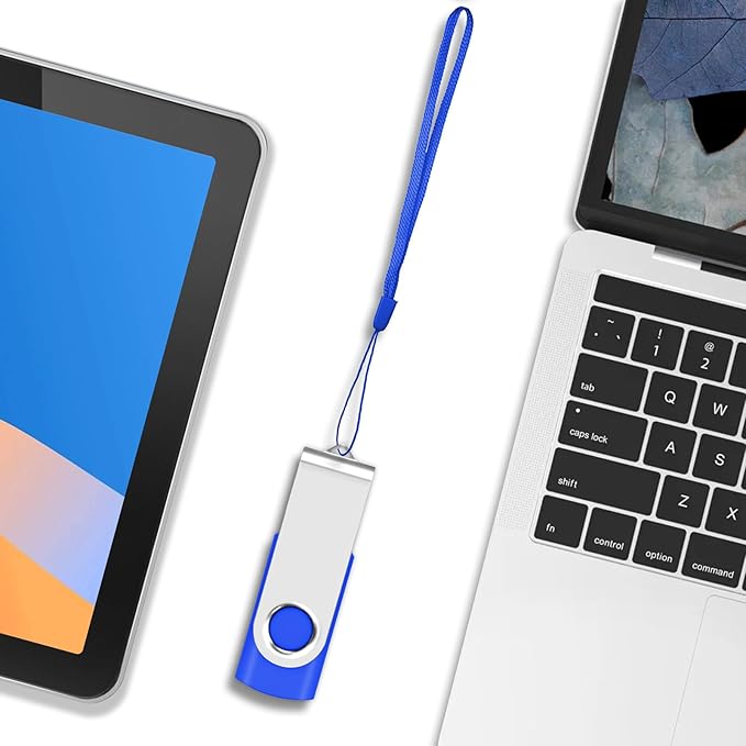 1GB Bulk Flash Drive 200 Pack, EASTBULL USB 2.0 Flash Drives Bulk Thumb Drives Pack USB Drives Pack (Blue)