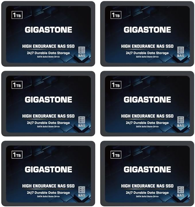 Gigastone 1TB NAS SSD Drive (6-Pack) 24/7 Durable TLC High Endurance RAID Data Storage Network Attached Storage 2.5" SATA Internal Solid State Hard Drives