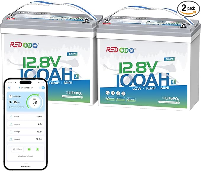 Redodo 12V 100Ah Smart Mini Bluetooth LiFePO4 Battery, Smallest Lithium Battery，Max 1280Wh, 10-Year Lifespan with Up to 15000 Deep Cycles, Upgraded 100A BMS for RV, Marine, Solar, Camping - 2 Pack