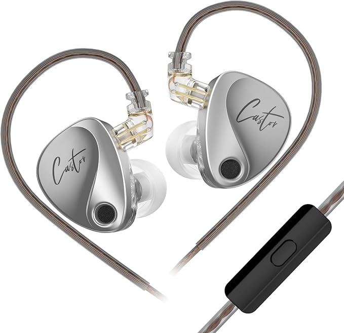 KZ Castor in-Ear Monitor Dual-Dynamic Drivers Headphones with 4 Tuning Switches HiFi Noise Cancelling Earphones, Clarity Stereo Sound Earbuds for Audio Engineers, Musicians(Silver, with Mic)