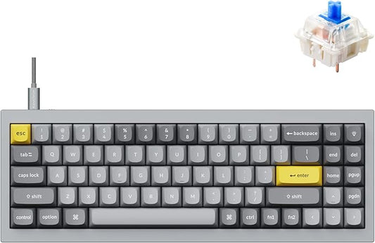 Keychron Q7 Wired Custom Mechanical Keyboard, 70% Layout QMK/VIA Programmable Macro with Hot-swappable Gateron G Pro Blue Switch Double Gasket Compatible with Mac Windows Linux (Grey)