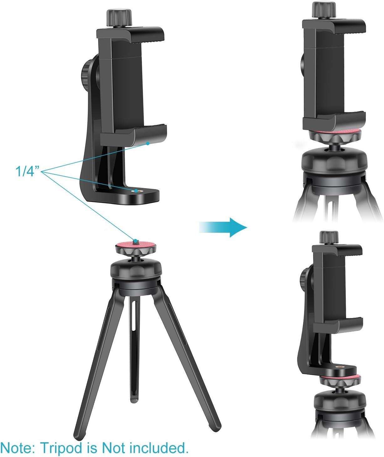 Neewer Smartphone Holder Phone Tripod Mount Compatible with iPhone 16 15 Pro Max Plus 14 13 12 Mini Samsung Galaxy S24 S23 Ultra, Cell Phone Clip Vertical Bracket Adapter for Tripod with 1/4" Screw