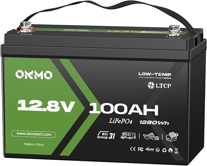 12V 100Ah LiFePO4 Lithium Battery, Group 31, Built-in 100A BMS, Low-Temp Protection, 15000+ Deep Cycles, Lightweight Rechargeable Battery for RV, Solar, Marine, Trolling Motor, Home, Off-Grid