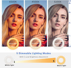 Video Conference Lighting Kit， Clip on Light Reading Lights， Ring Light, 360 ° Flexible Gooseneck Bed Night Light ，Computer Laptop Video Conferencing