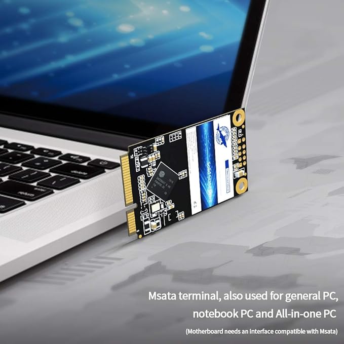 Dogfish Msata 32GB Internal Solid State Drive Mini Sata SSD Disk