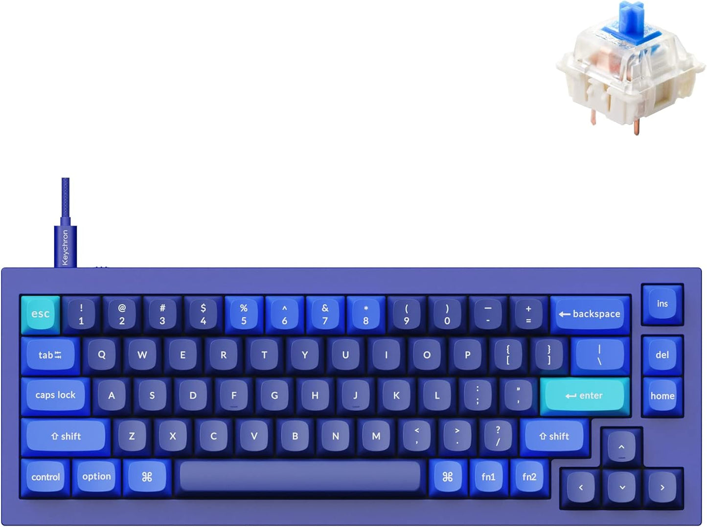 Keychron Q2 Wired Custom Mechanical Keyboard, QMK/VIA Programmable Macro, Full Aluminum, Hot-Swappable Gateron G Pro Blue Switch, 65% Layout Double Gasket Compatible with Mac and Windows - Blue