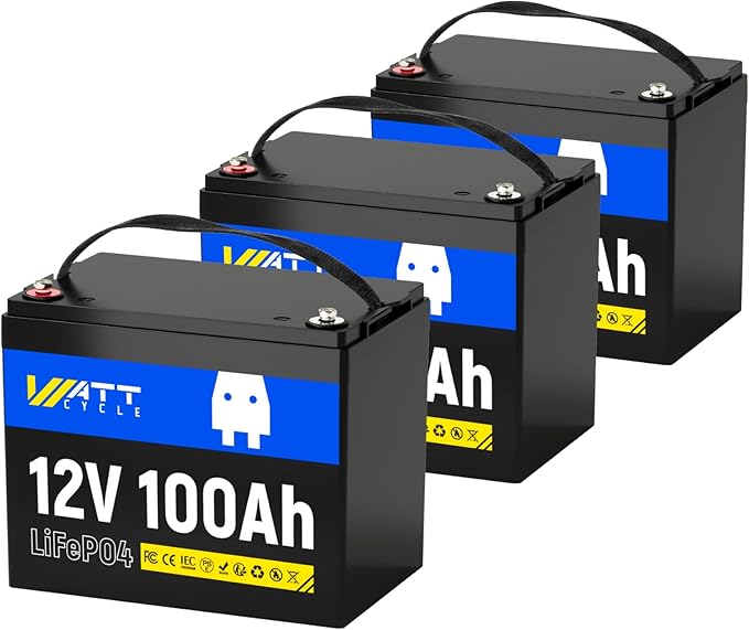 12V 100Ah LiFePO4 Lithium Battery 3 Pack - BCI Group 24, 15000 Cycles, Built-in 100A BMS, Low-Temperature Protection - Ideal for RVs, Golf Cart, Home Energy Storage, Marine (3 Pack)