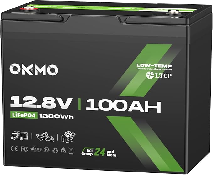 12V 100Ah LiFePO4 Battery, BCI Group 24, Built-in 100A BMS, 1280Wh Rechargeable Deep Cycle Lithium Battery, 15000+ Cycles, Low Temp Protection, for RV, Marine, Solar, Trolling Motor, Home, Off-Grid