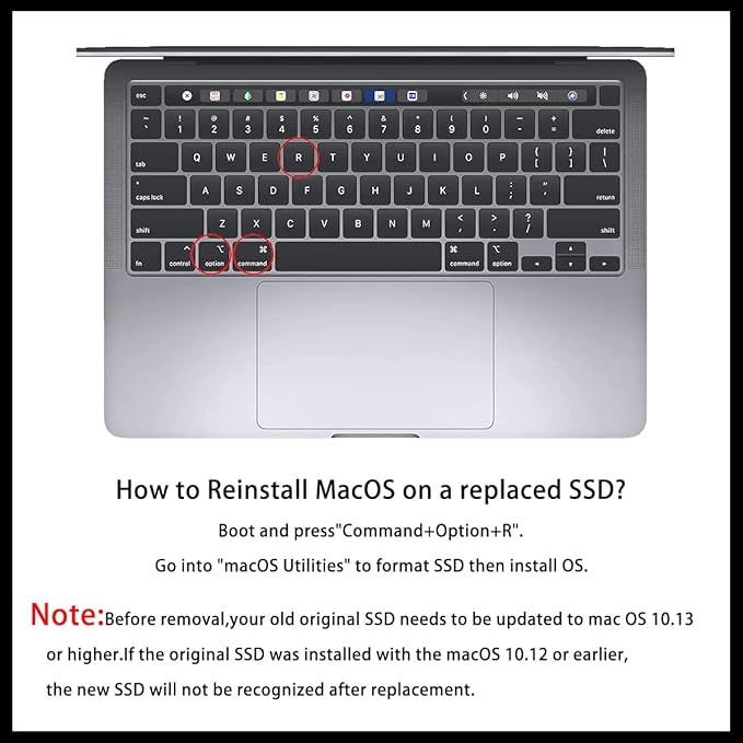 Dogfish NVMe SSD da 256 GB per MacBook PCIe Gen3x4 M.2 2280, SSD interno per MacBook Air A1466 A1465 (2013-2017)/MacBook Pro A1398 A1502 (Retina 2013-2015)/iMac A1419 A1418
