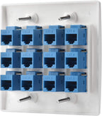 Cat6 Keystone Ethernet Wall Plate Female to Female - White (12 Port)