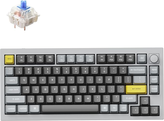 Keychron Q1 RGB Wired Custom Mechanical Keyboard Knob Version, 75% Layout QMK/VIA Programmable with Hot-swappable Gateron G Pro Blue Switch Double Gasket Compatible with Mac Windows Linux (Grey)