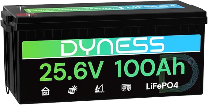 24V 100Ah LiFePO4 Lithium Battery, 2560Wh Large Capacity with Smart 100A BMS, 4000+ Deep Cycle, 10-Year Lifetime, Supports 4P2S Connection Up to 20.48kWh, Perfect for RV, Solar System, Marine
