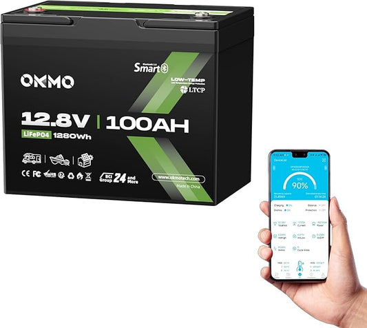 12V 100Ah LiFePO4 Battery with Bluetooth, BCI Group 24, Built-in 100A BMS, 1280Wh Rechargeable Deep Cycle Lithium Battery, 15000+ Cycles for RV, Marine, Solar, Trolling Motor, Home, Off-Grid
