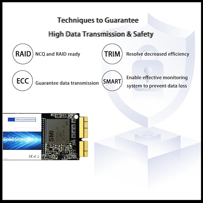 Dogfish SSD Pro da 2 TB per MacBook Upgrade NVMe PCIe Gen3x4 M.2, Unit?interna a stato solido per MacBook Air A1466 (2013-2017)/MacBook Pro A1398 (Retina, 2013-2015)/iMac A1419 (2013-2019)