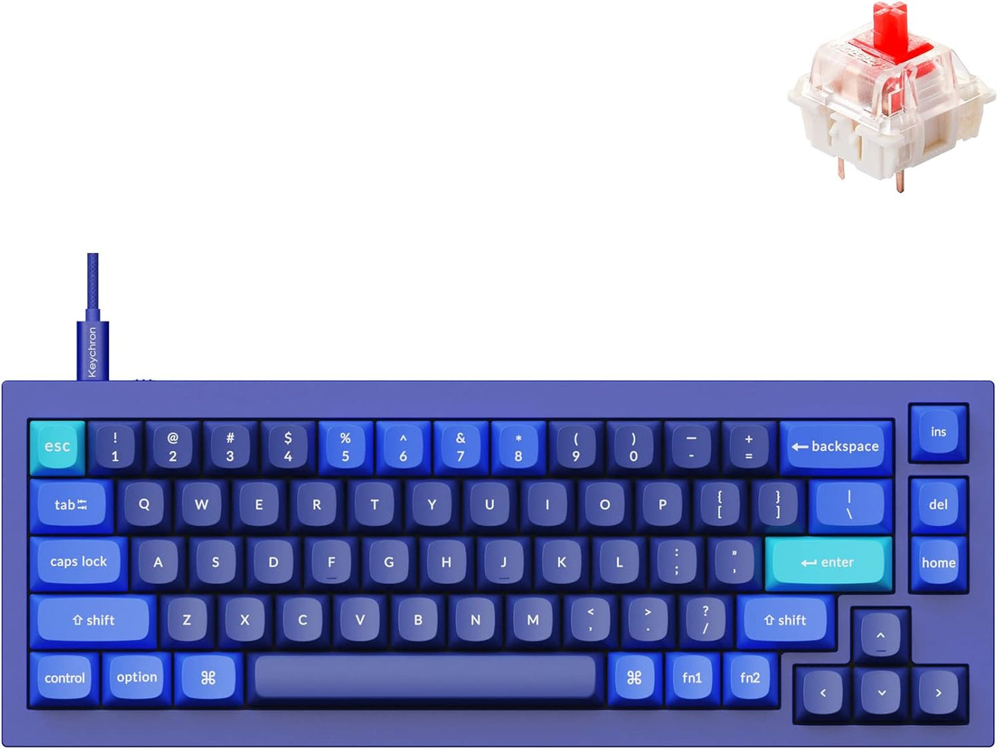 Keychron Q2 Wired Custom Mechanical Keyboard, QMK/VIA Programmable Macro, Full Aluminum, Hot-Swappable Gateron G Pro Red Switch, 65% Layout Double Gasket Compatible with Mac and Windows - Blue