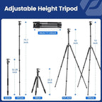 Fotopro 73" Carbon Fiber Tripod for Camera, Compact Travel Tripod with Ball Head, Detachable Monopod with Quick Release Plate and Camera Bag, Load up to 22lbs/10KG