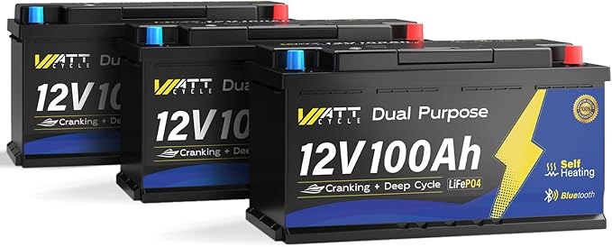 12V 100Ah Bluetooth LiFePO4 Battery, [Cranking &Deep Cycle] Lithium Battery with Self-Heating, Built-in 200A BMS, Perfect for Trolling Motor, RV, Marine, Boat(3 Pack)