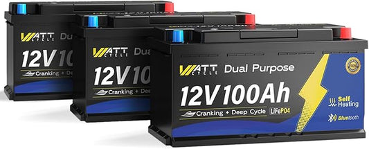 12V 100Ah Bluetooth LiFePO4 Battery, [Cranking &Deep Cycle] Lithium Battery with Self-Heating, Built-in 200A BMS, Perfect for Trolling Motor, RV, Marine, Boat(3 Pack)