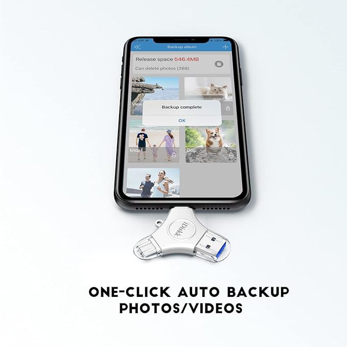 iDiskk 512GB App-le MFI Certified Photo Vault for iPhone USB Storage FlashDrive for USB-C iPad Android Samsung for iPhone 16/15/14/13/13 pro/12/12 pro/11 Pro/XR/X,Photo Stick for Computer MacBook