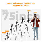 K&F Concept 75 inch/190cm Camera Tripod,Lightweight Travel Outdoor DSLR Tripods with 360 Degree Ball Head Load Capacity 8kg/17.6lbs,Cellphone Clip and Remote Control for Smartphone S255A3+BH-36
