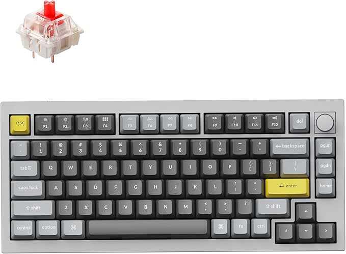 Keychron Q1 RGB Wired Custom Mechanical Keyboard Knob Version, 75% Layout QMK/VIA Programmable with Hot-swappable Gateron G Pro Red Switch Double Gasket Compatible with Mac Windows Linux (Grey)