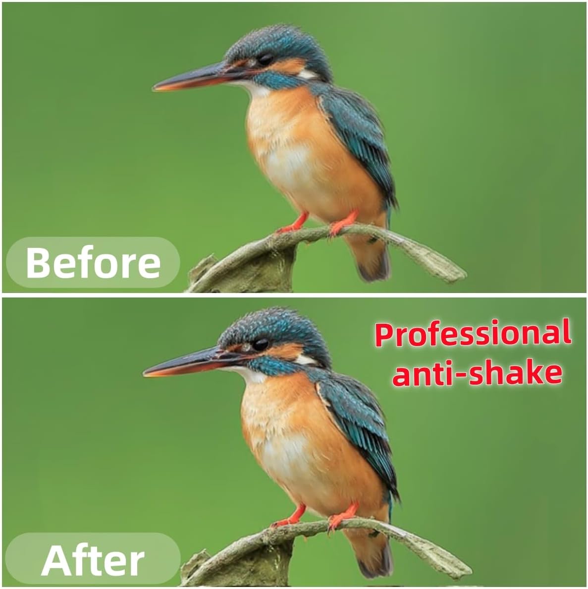 Pixel TW283-UC1 Wireless Remote Trigger Wireless Trigger Wire Trigger Timer Intervalometer Compatible with Olympus E-M1 E-M5-II E-M10-II Pen-F EPL8 EPL7 EPL6 EPL5 EPL3 EPL2 EP5 E600 E620 590UZ 810UZ