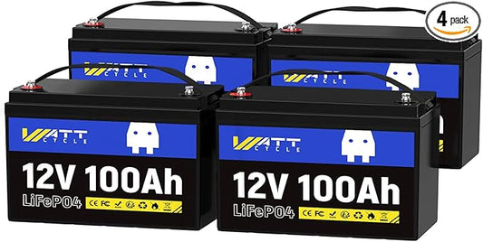 12V 100Ah LiFePO4 Deep Cycle Battery - Group 24, 15000 Deep Cycles, Built-in 100A BMS, Low-Temperature Protection for RV, Marine, Golf Cart, Solar Panel Systems, Home Backup (4 Packs)