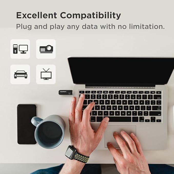 GIGASTONE V30 64GB USB 2.0 Flash Drive 2-Pack, Capless Retractable Design Pen Drive, Carbon Fiber Style, Reliable Performance & Durable