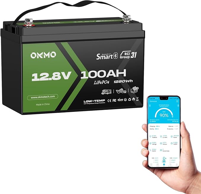 OKMO 12V 100Ah LiFePO4 Battery, Lithium Battery 100A BMS, 10 Years Lifetime 15000+ Deep Cycles,for Marine, RV, Trolling Motor, Boat, Camper, Solar Home Iron Phosphate, Low Temperature Protection
