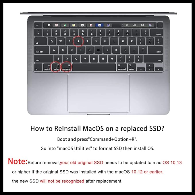 Dogfish SSD Pro da 2 TB per MacBook Upgrade NVMe PCIe Gen3x4 M.2, Unit?interna a stato solido per MacBook Air A1466 (2013-2017)/MacBook Pro A1398 (Retina, 2013-2015)/iMac A1419 (2013-2019)