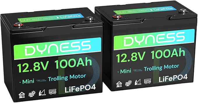 12V 100Ah Mini LiFePO4 Battery 2 Pack Group 24, 12 Volt Deep Cycle Lithium Battery with 100A BMS, Low-Temp Protection & 10 Years Lifespan for RV, Boat, Trolling Motor, Solar Off-Grid, Golf Cart