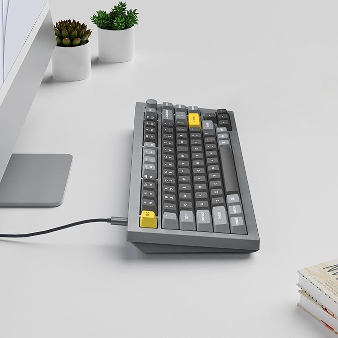 Keychron Q1 RGB Wired Custom Mechanical Keyboard Knob Version, 75% Layout QMK/VIA Programmable with Hot-swappable Gateron G Pro Red Switch Double Gasket Compatible with Mac Windows Linux (Grey)