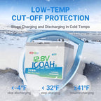 Redodo 12V 100Ah LiFePO4 Battery Bluetooth, Low-Temp Protection BCI Group 24 Lithium Battery for Trolling Motor, Bulit-in 100A Smart BMS, Perfect for Marine, Boat, RV, Solar and Off Grid - 2 Pack