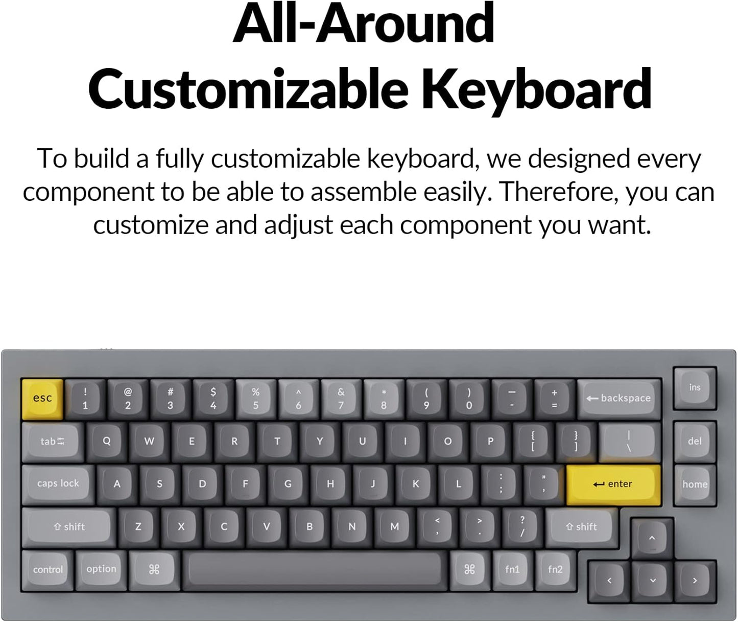 Keychron Q2 Wired Custom Mechanical Keyboard, QMK/VIA Programmable Macro, Full Aluminum, Hot-Swappable Gateron G Pro Red Switch, 65% Layout Double Gasket Compatible with Mac and Windows - Grey