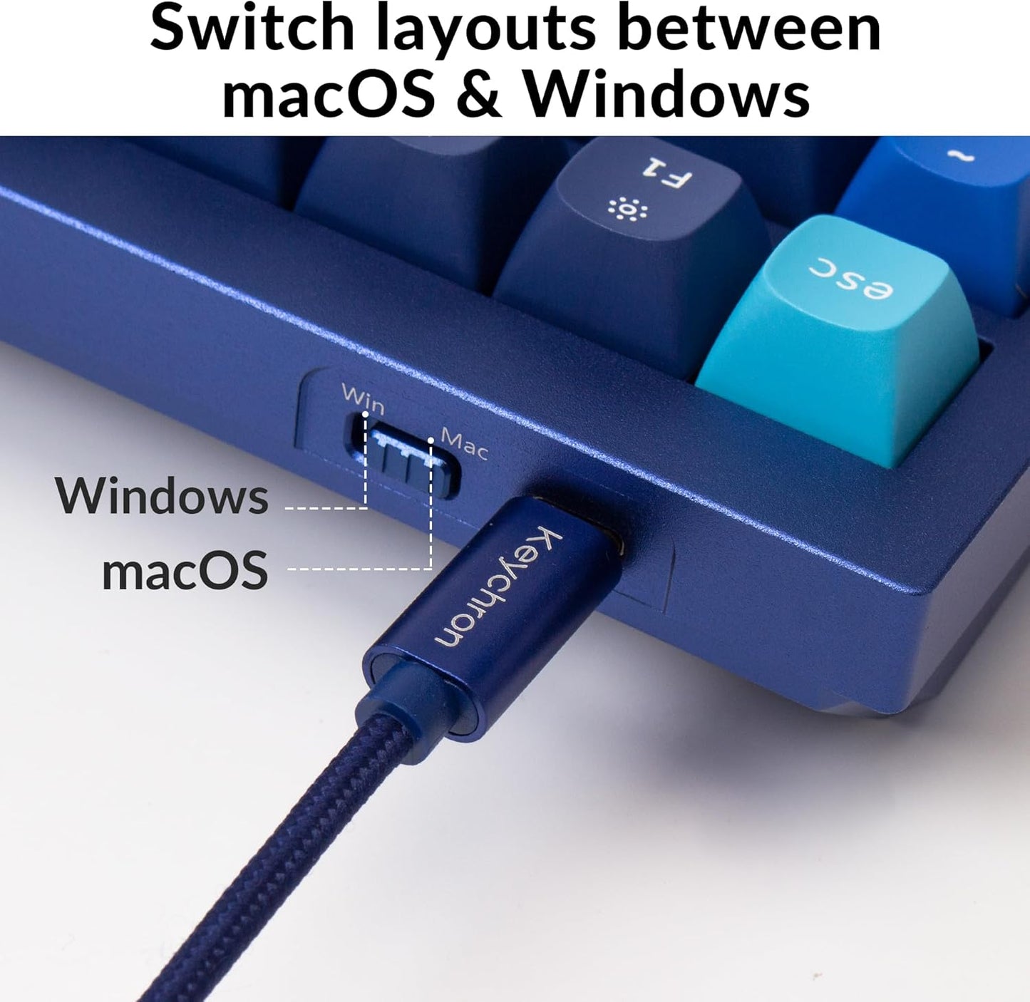 Keychron Q5 Wired Custom Mechanical Keyboard Knob Version, 96% Layout QMK/VIA Programmable Macro with Hot-swappable Gateron G Pro Blue Switch Double Gasket Compatible with Mac Windows Linux (Blue)