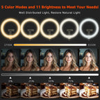 10" LED Ring Light with Overhead Phone Stand, CRI≥95 1200lm Dimmable Lighting, Adjustable Metal Arm with Remote & Phone Holder, for Streaming, Makeup, Zoom Calls, Photography
