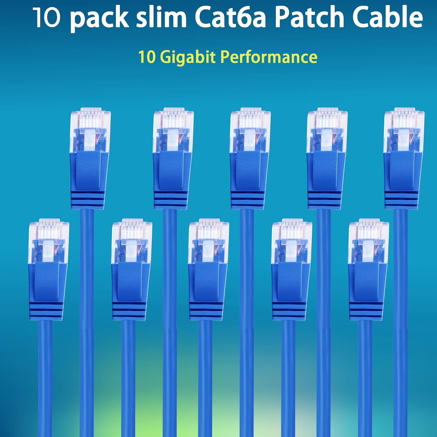 Rapink Patch Cables Cat6a 1ft (10 Pack) Slim, Cat6a Ethernet Patch Cable 10G Support, Snagless Cat 6 Patch Cable for Patch Panel to Switch, Flexiable Cat 6a Ethernet Cable with Gold Plated