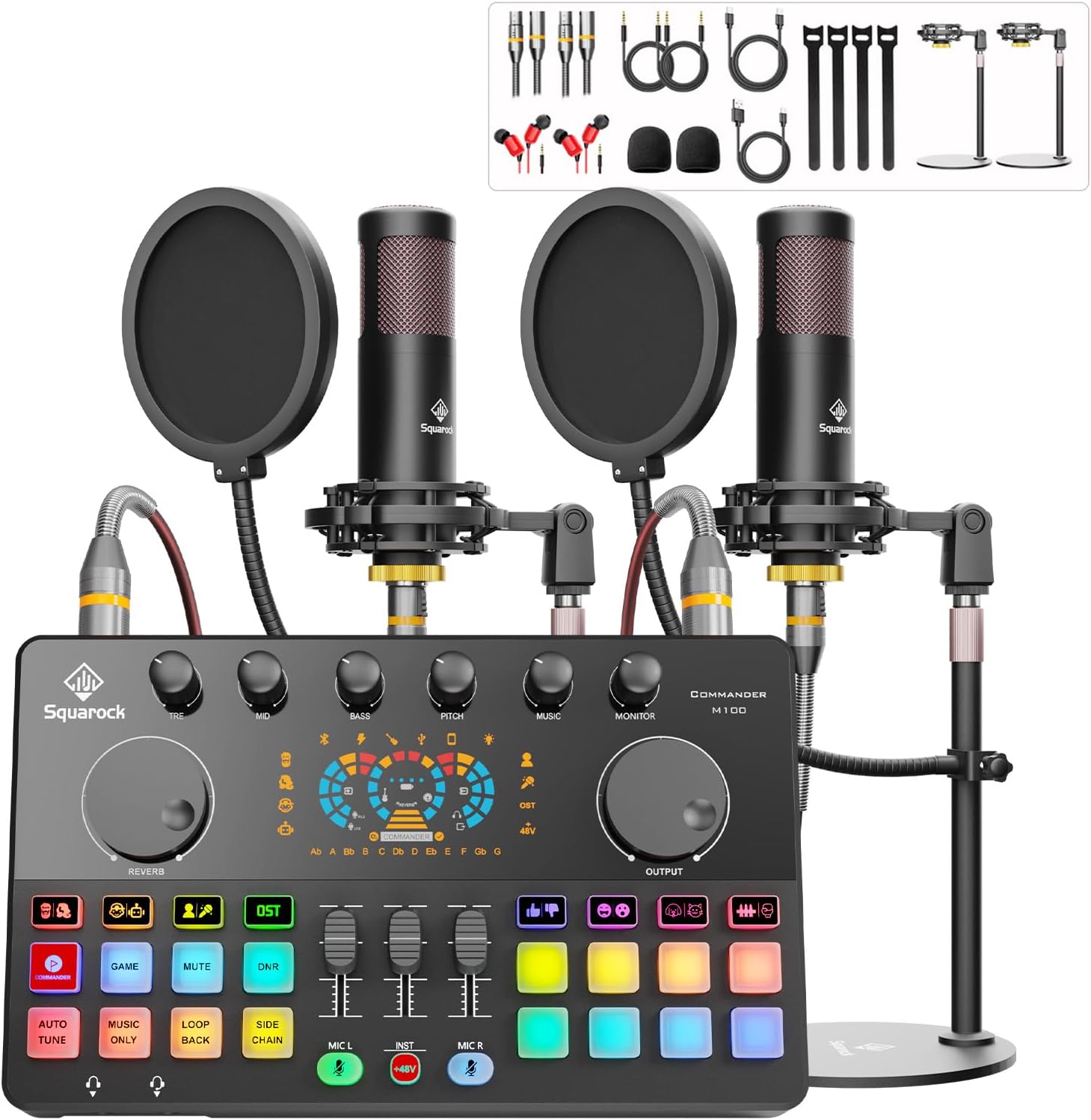 Podcast Equipment Bundle for 2 with Dual 48V XLR Condenser Micophones with Mic Pop Filters Audio Equipment for Live Streaming/ Recording, Online Gaming for Phone/ Laptop/ PC Audio Interface M100