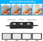 LED Photo Video Light 2-Pack, Ci-Fotto Dimmable 5600K USB LED Continuous Light Photography Light with Tripods and Color Filters for Photo Studios, YouTube, TikTok, Video Recording, Game Streaming